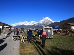 2019_ausstellung polling_091